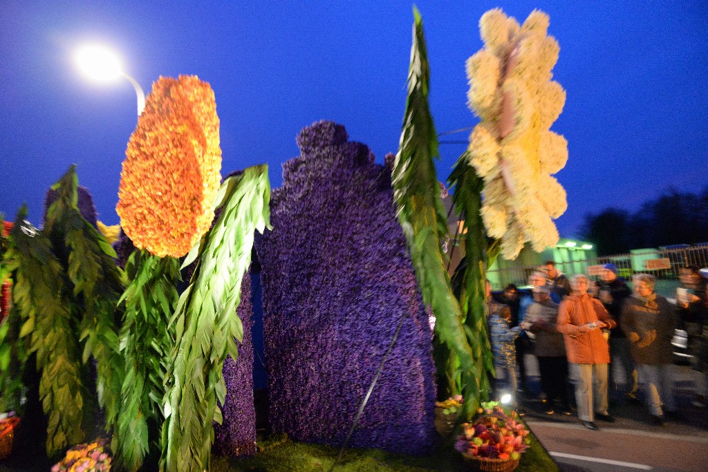 ../Images/Bloemencorso Noordwijkerhout 219.jpg